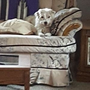 Meet your Posher, Deborah